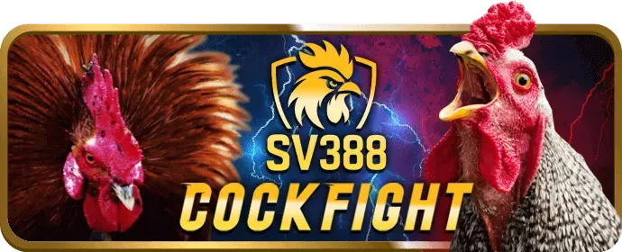 Khuyến mãi 88x link vào